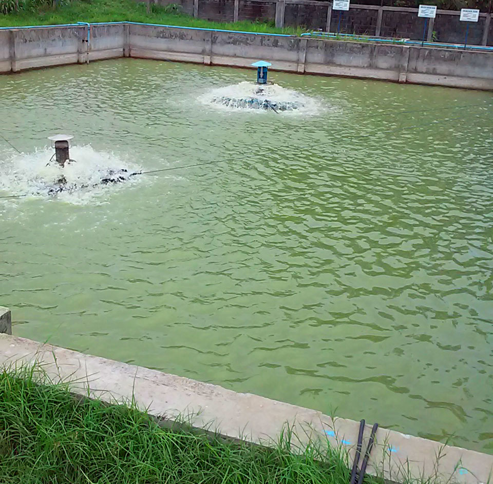 Chemical Water Treatment Eracem