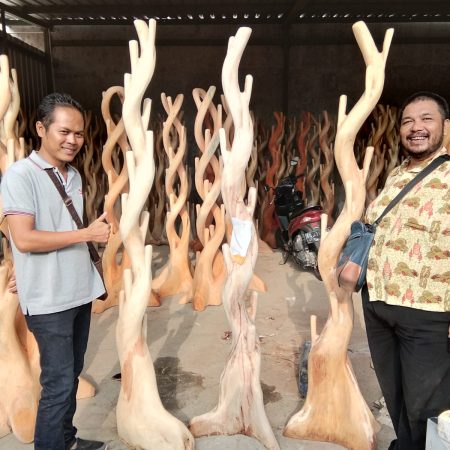 Eracem Radom white agent pemutih kayu